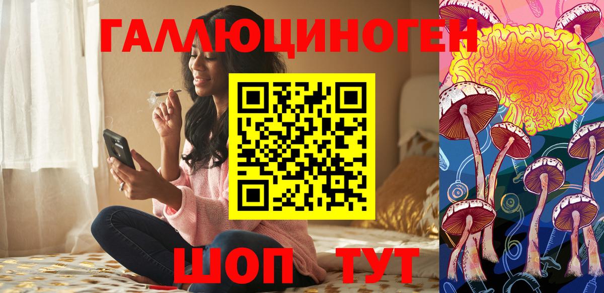 Галлюциногенные грибы мицелий Калининград
